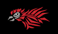Fighting Cocks mascot photo.