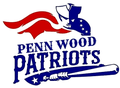 Patriots mascot photo.