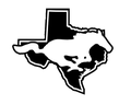 Mustangs mascot photo.