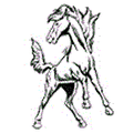 Mustangs mascot photo.