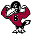 Falcons mascot photo.