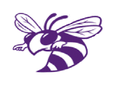 Purple Hornets mascot photo.