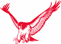 Red Tailed Hawks mascot photo.