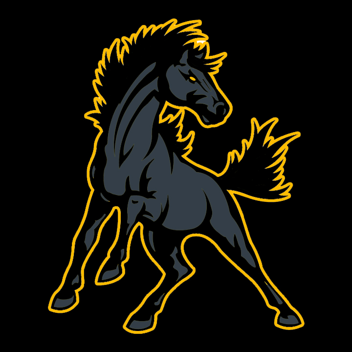 Ariel Rocco NCHS, Northern Cambria, PA MaxPreps