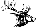 Elks mascot photo.