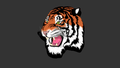 Tigers mascot photo.