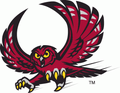 Owls mascot photo.