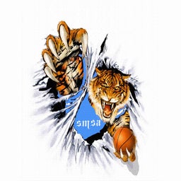 Sports & Medical Sciences Academy