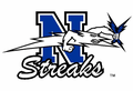 Blue Streaks mascot photo.