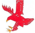 Falcons mascot photo.