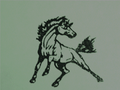 Mustangs mascot photo.