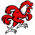 Gamecocks mascot photo.