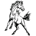 Mustangs mascot photo.