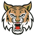 Wildcats mascot photo.