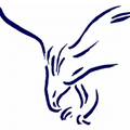 Blue Hawks mascot photo.
