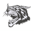 Bearcats mascot photo.