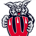 Wildcats mascot photo.