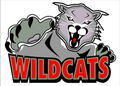 Wildcats mascot photo.