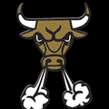 Battling Bulls mascot photo.