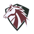 Mustangs mascot photo.
