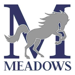 The Meadows School