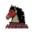 Mavericks mascot photo.