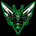 HORNETS mascot photo.