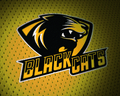 Blackcats mascot photo.