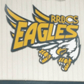 Golden Eagles mascot photo.
