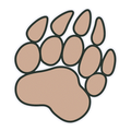 Golden Bears mascot photo.