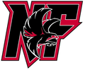 Falcons  mascot photo.