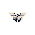 Gulls mascot photo.