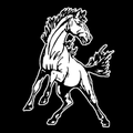 Mustangs mascot photo.