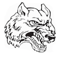 Timberwolves mascot photo.