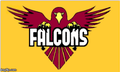 Falcons mascot photo.