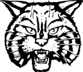 Bobcats mascot photo.