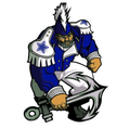 Commodores mascot photo.