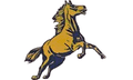 Mustangs mascot photo.
