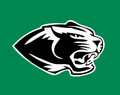 Panthers mascot photo.
