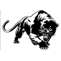 Panthers mascot photo.