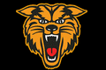 Wildcats mascot photo.