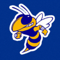 Yellowjackets mascot photo.