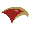 Falcons mascot photo.