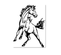 Mustangs mascot photo.