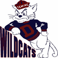 Wildcats mascot photo.