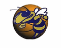 Hornets mascot photo.