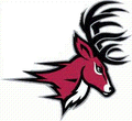 Stags mascot photo.