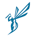 Hornets mascot photo.