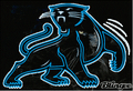 Panthers  mascot photo.
