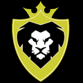 Lions mascot photo.